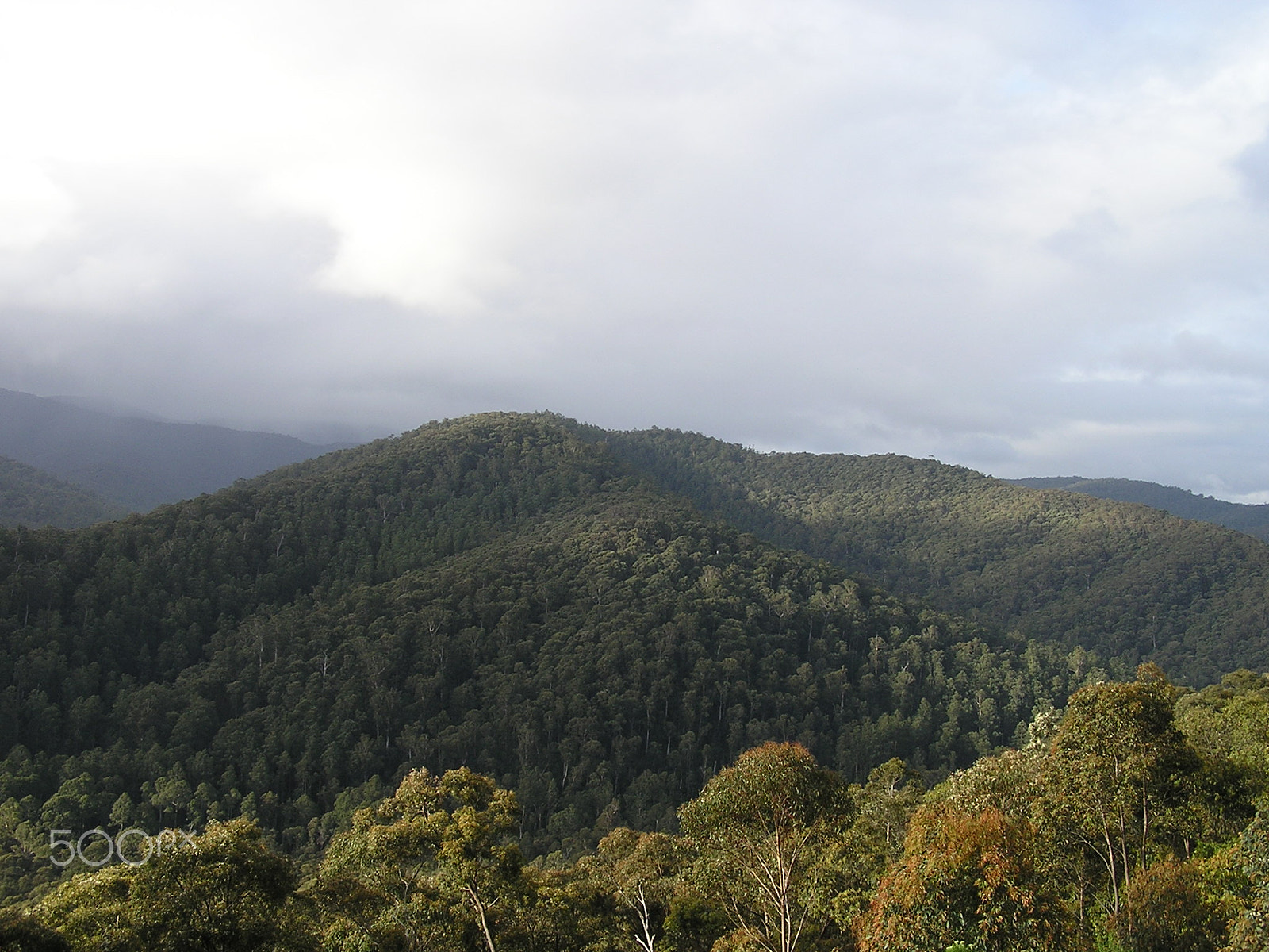 Olympus C740UZ sample photo. Top of the reefton spur victoria australia photography