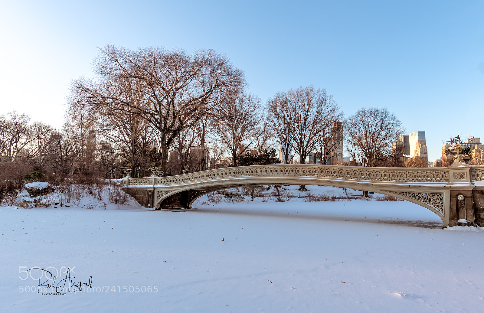 Nikon D850 sample photo. Bow bridge at central photography
