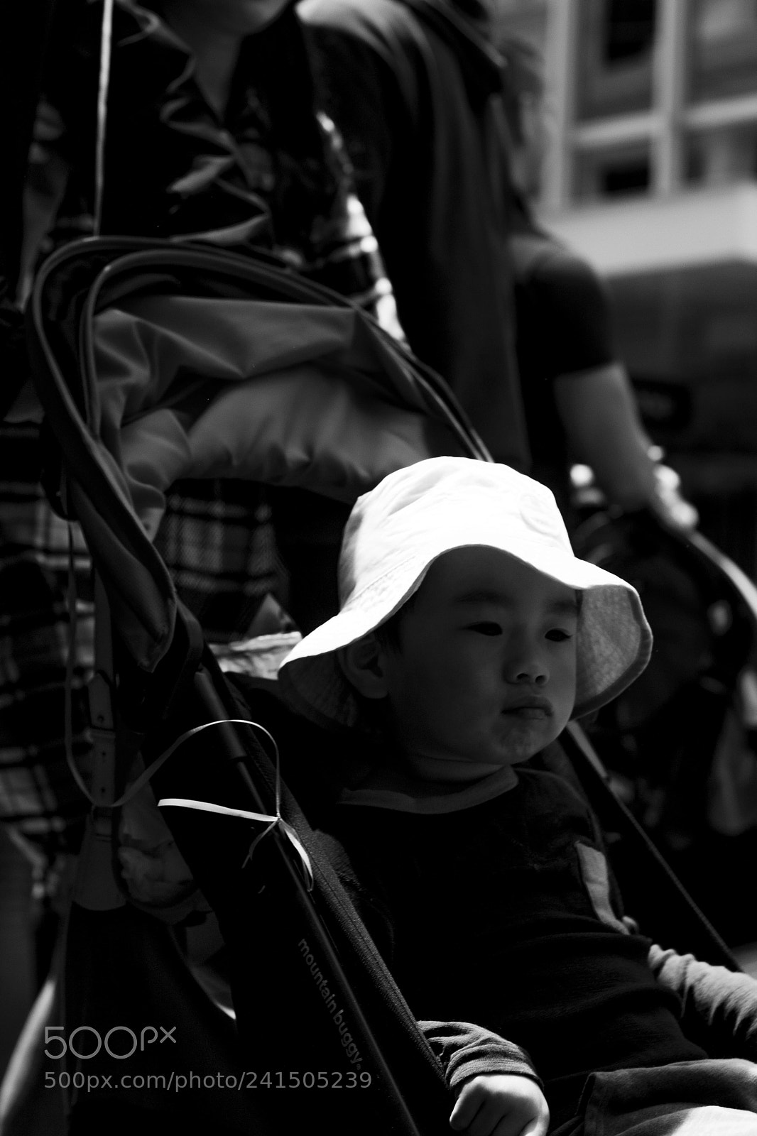 Canon EOS 1000D (EOS Digital Rebel XS / EOS Kiss F) sample photo. Wellington xmas parade [day 83] photography