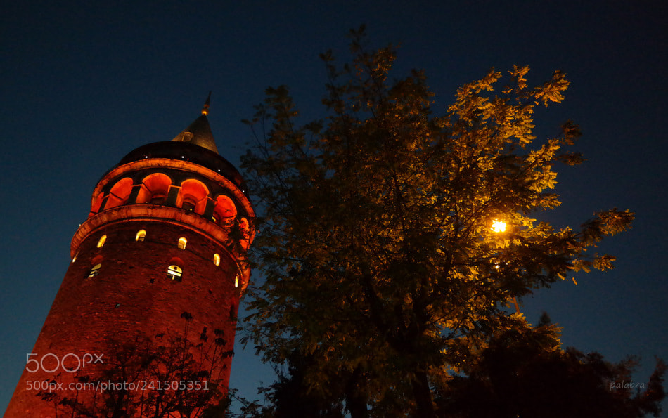 Samsung NX300 sample photo. ... photography