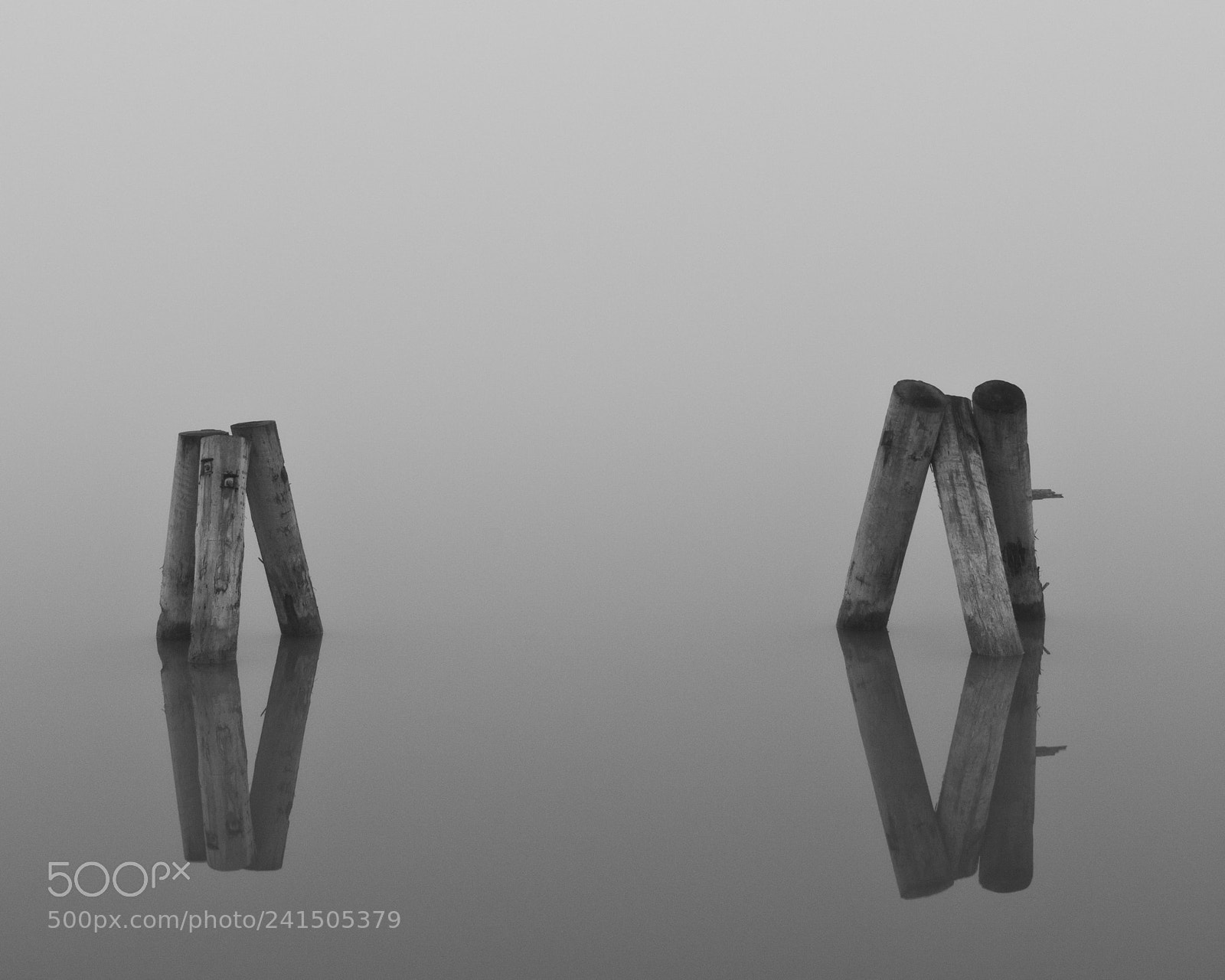 Nikon D7100 sample photo. Mist photography