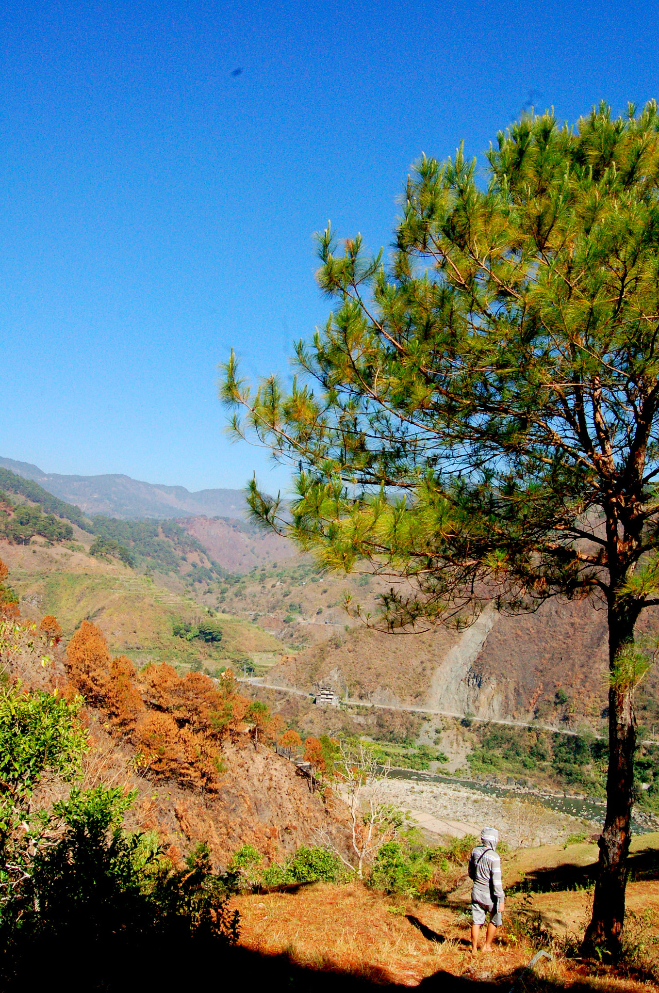 Nikon D50 sample photo. Nature at its best! photography