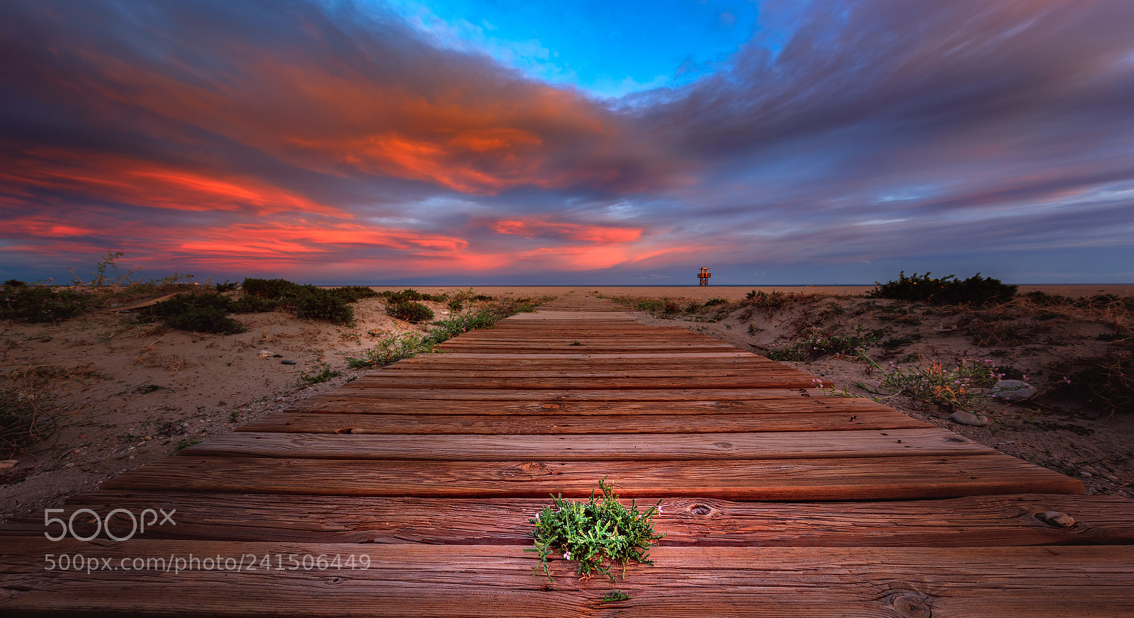 Canon EOS 5DS R sample photo. Vera beach photography