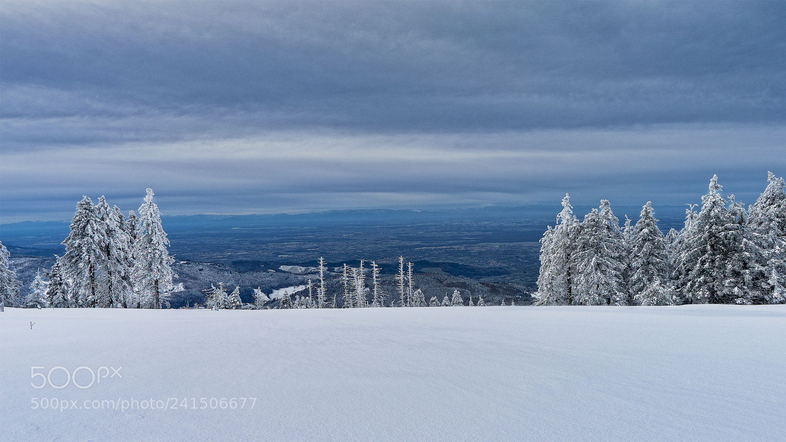 Sony a7 II sample photo. Hornisgrinde photography