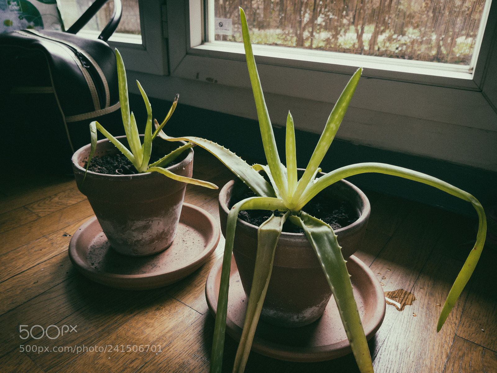 Samsung Galaxy S8 sample photo. Two girls photography