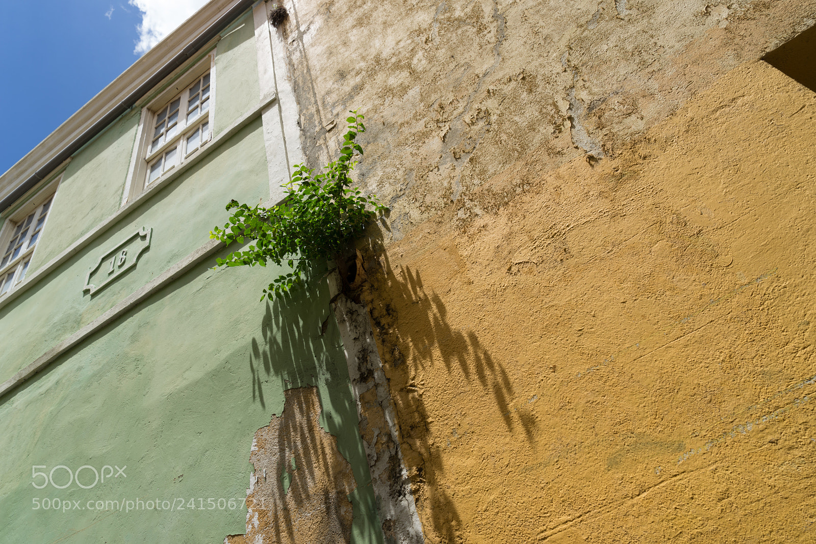 Sony a7R sample photo. Curaçao photography