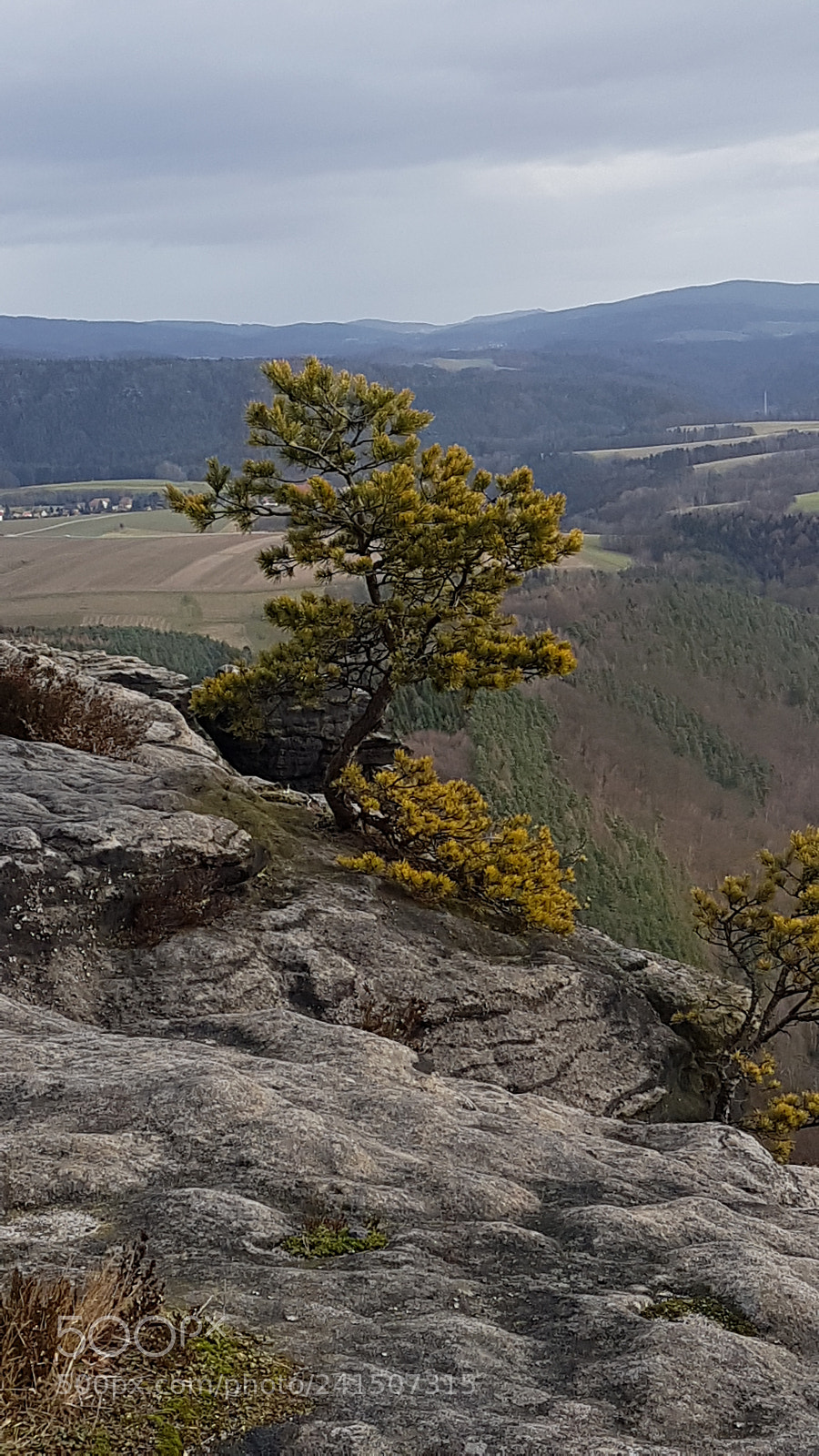 Samsung Galaxy S7 sample photo. Lilienstein sächsische schweiz photography