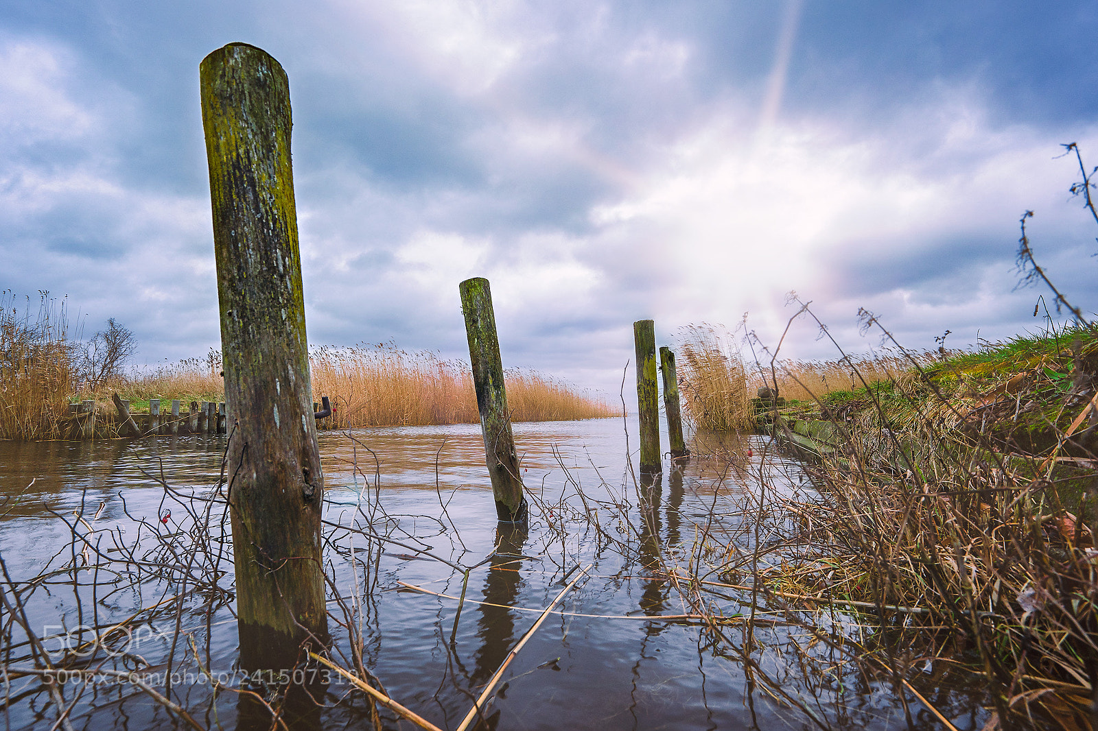 Sony a9 sample photo. Naturhafen stolpe usedom photography