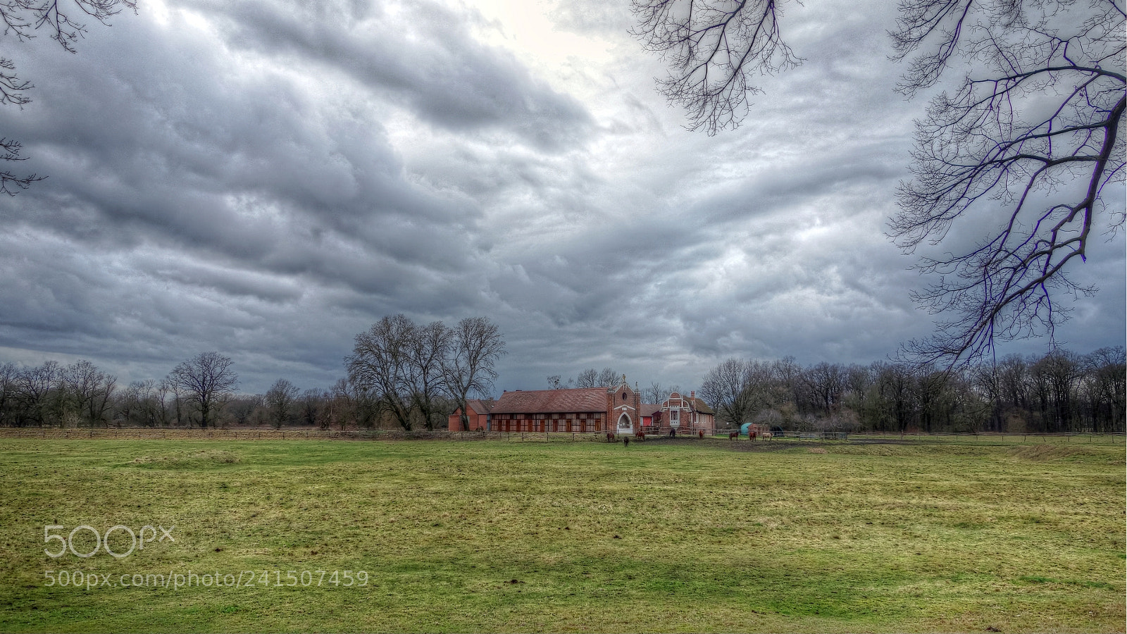 Sony Cyber-shot DSC-RX100 sample photo. Countryside in january photography