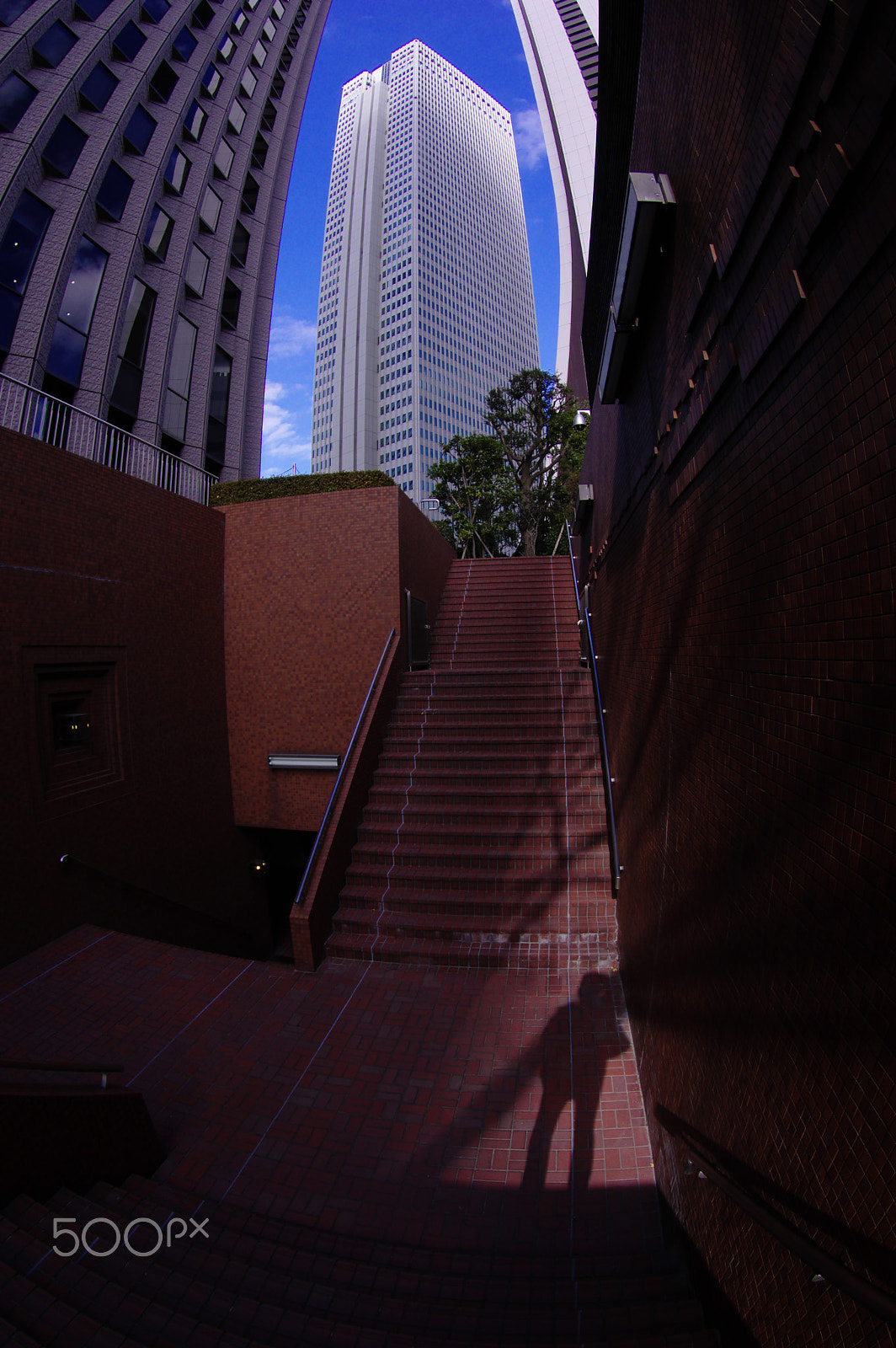 Pentax K-3 II sample photo. Blue sky and me photography
