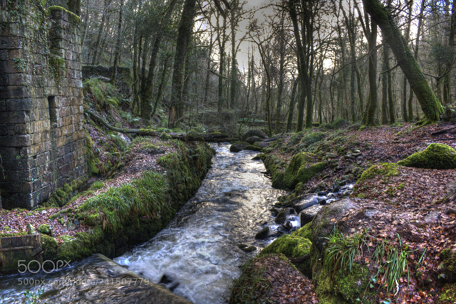 Canon EOS 1000D (EOS Digital Rebel XS / EOS Kiss F) sample photo. Kennall vale posanooth photography
