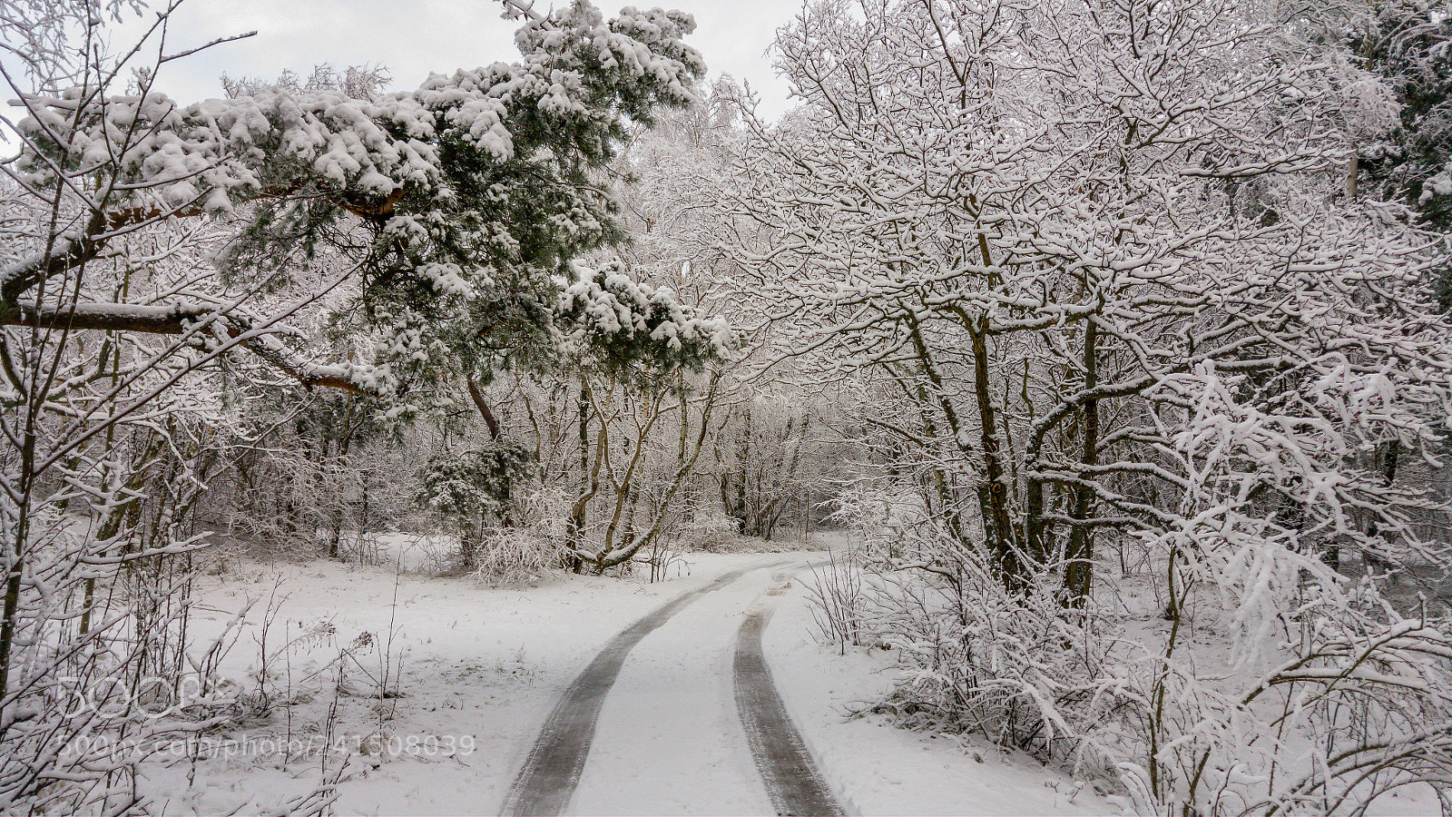 LG G4 sample photo. Winter road photography