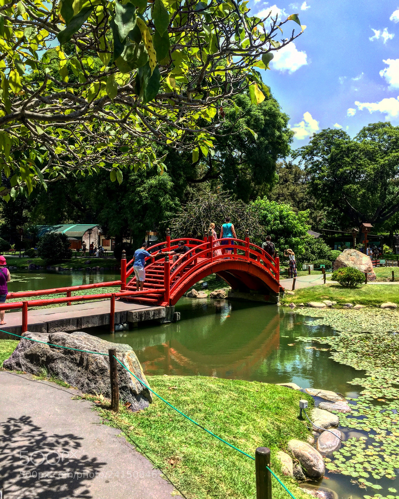 Apple iPhone 6 sample photo. Hermoso jard n japon photography