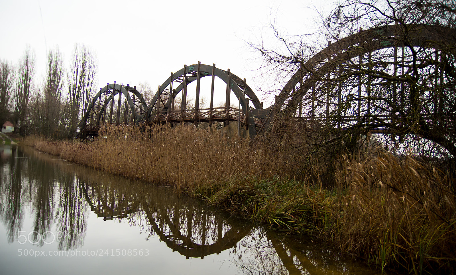 Nikon D7200 sample photo. Bridge to the kis photography