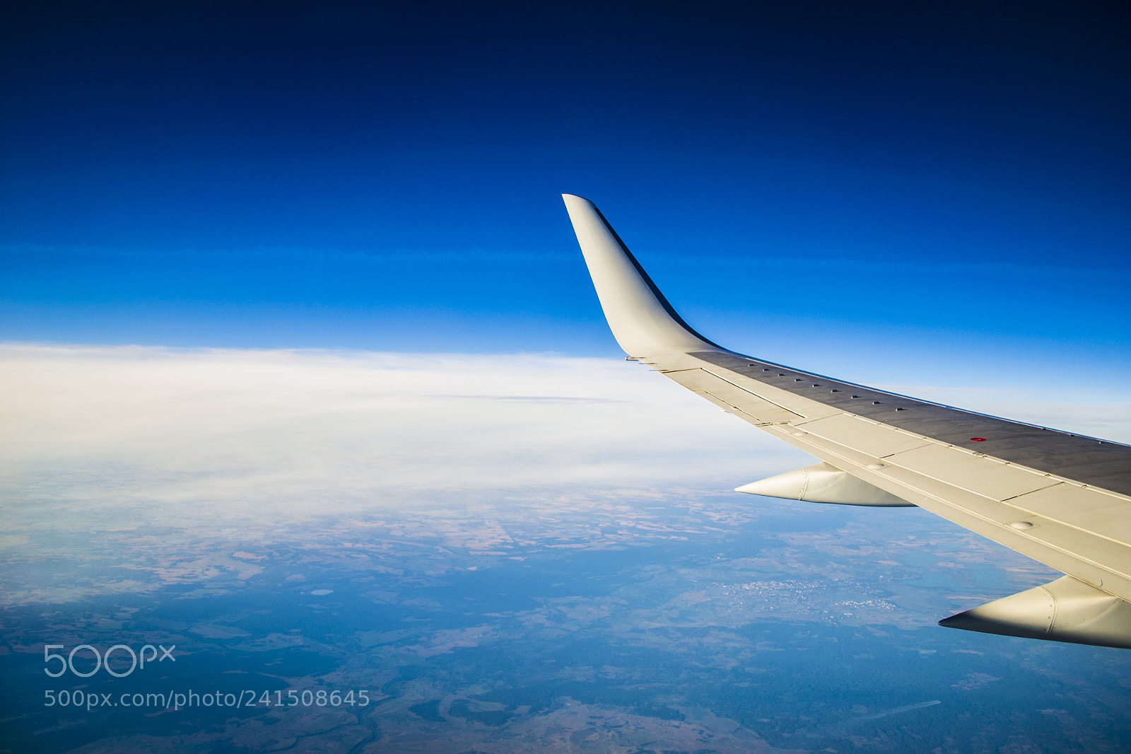 Nikon D3100 sample photo. Wing photography