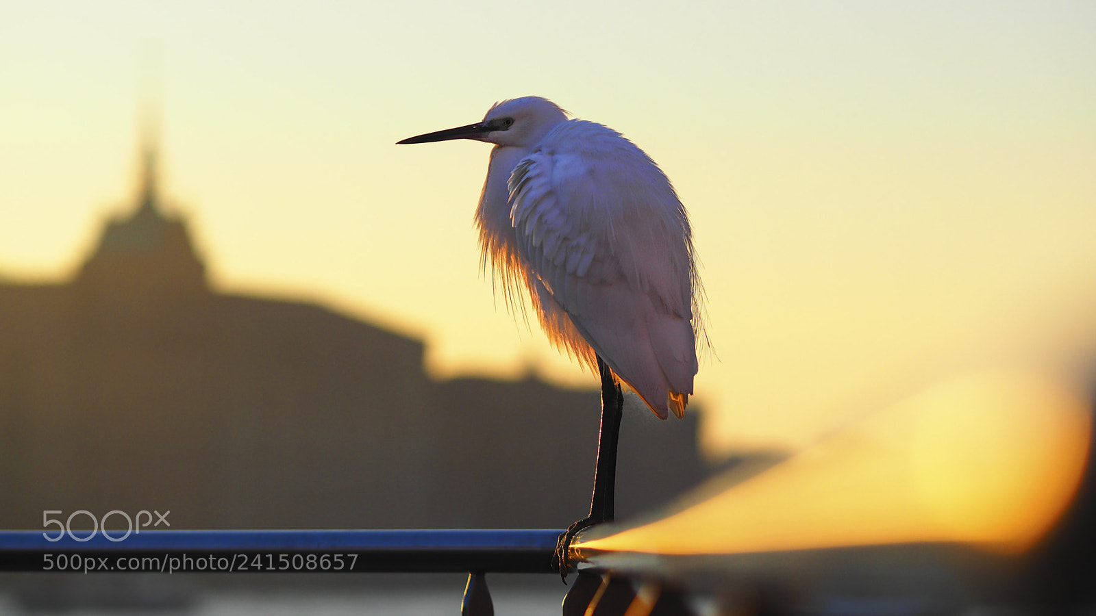 Olympus OM-D E-M5 II sample photo. Venezia photography