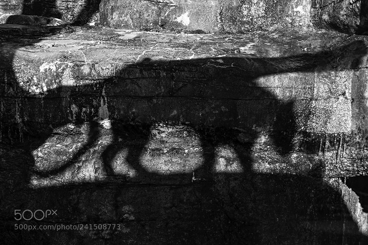 Sony a99 II sample photo. Shadow play photography