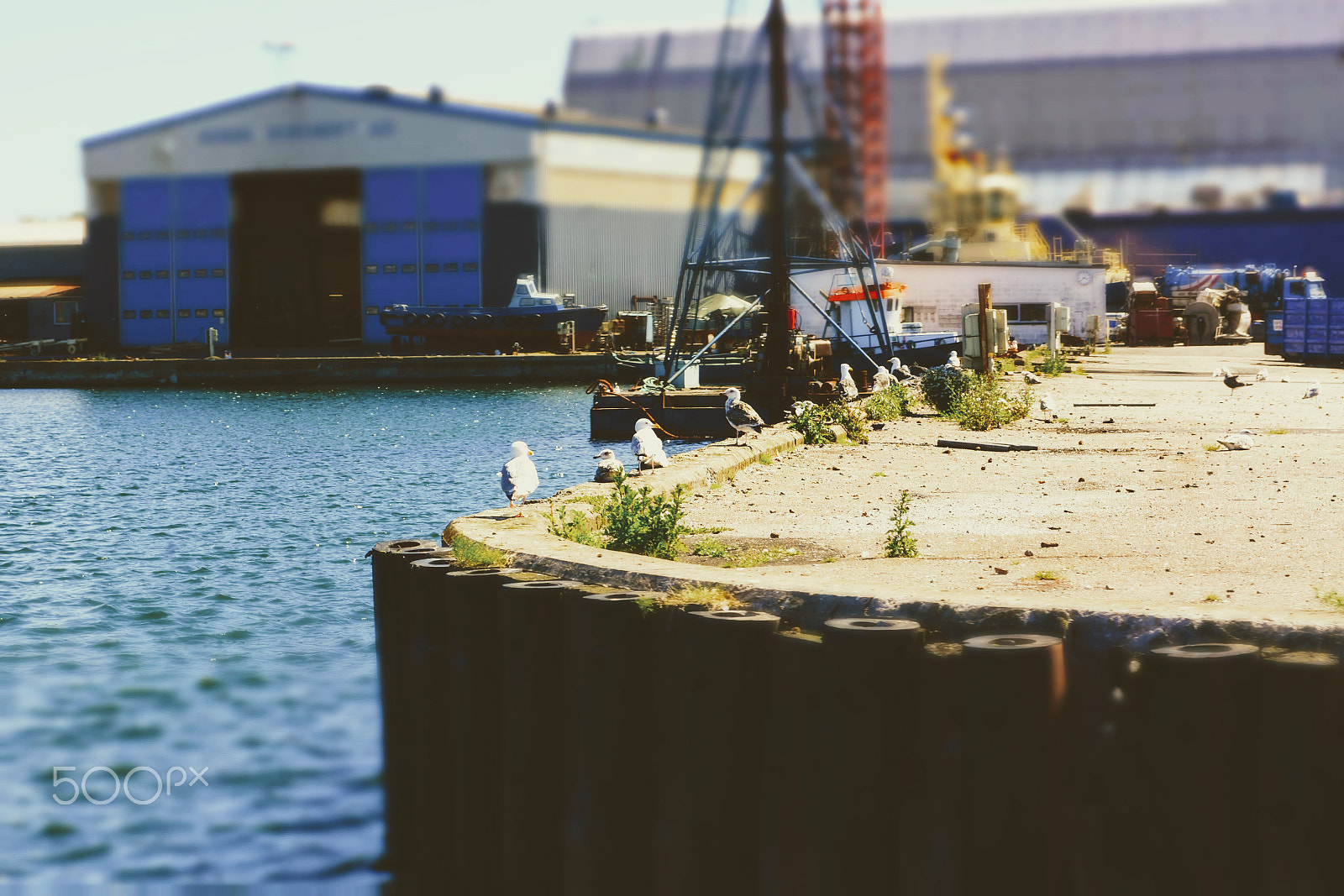Nikon D7100 sample photo. Harbor photography