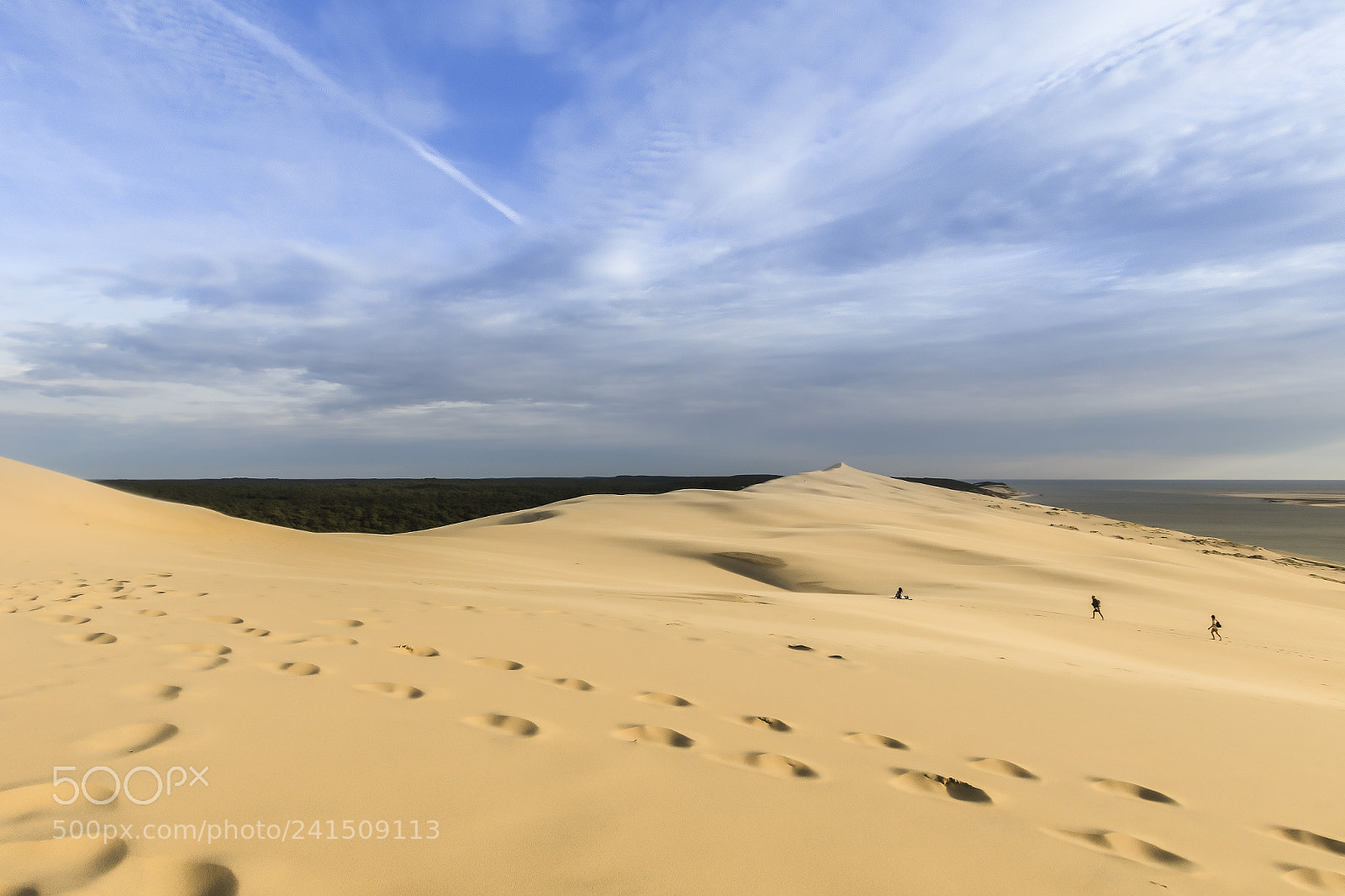 Canon EOS 80D sample photo. French desert photography
