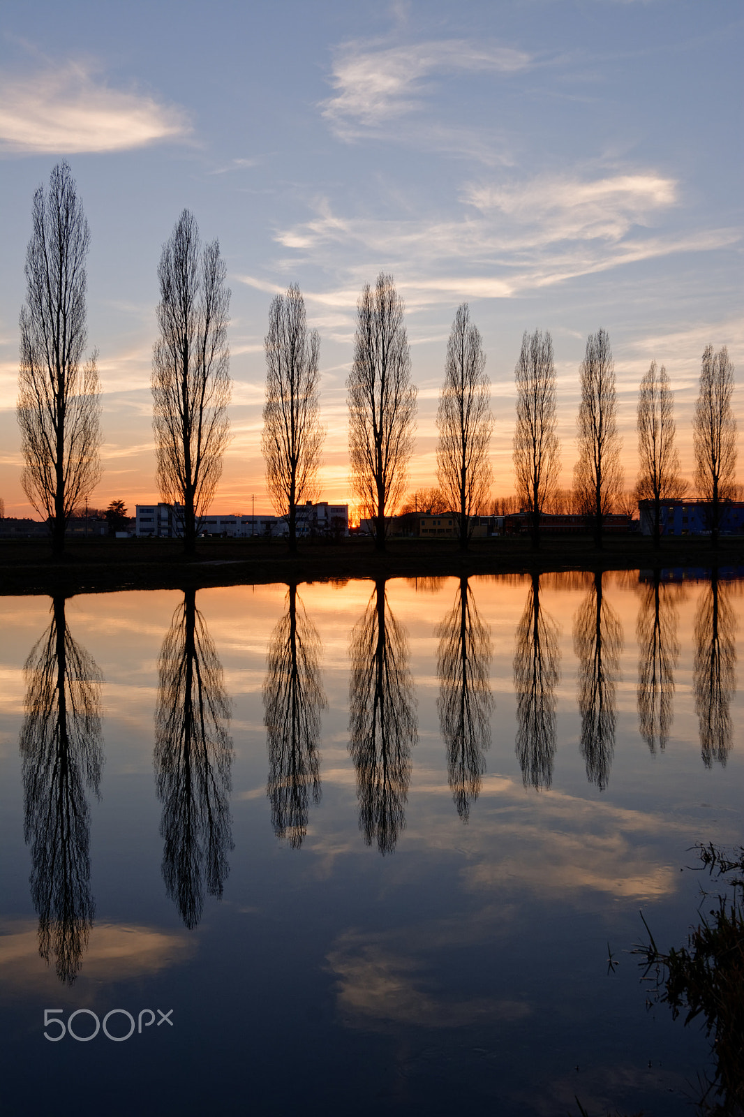Nikon AF-S Nikkor 14-24mm F2.8G ED sample photo. Backlit photography