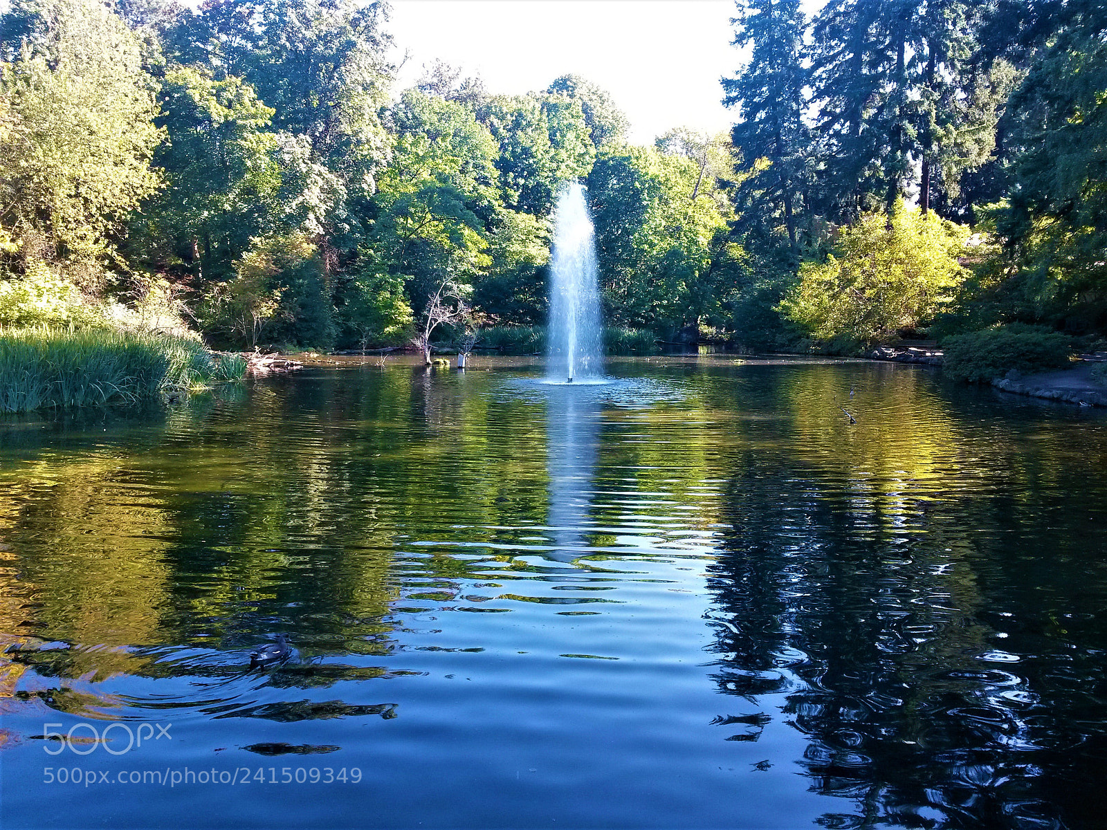 Samsung Galaxy S4 Mini sample photo. Nature photography