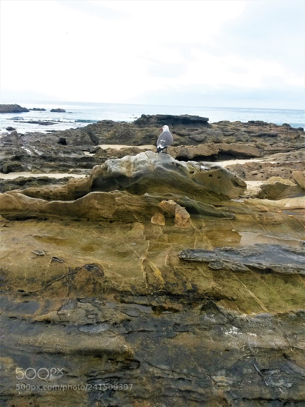 Samsung Galaxy S4 Mini sample photo. Nature photography
