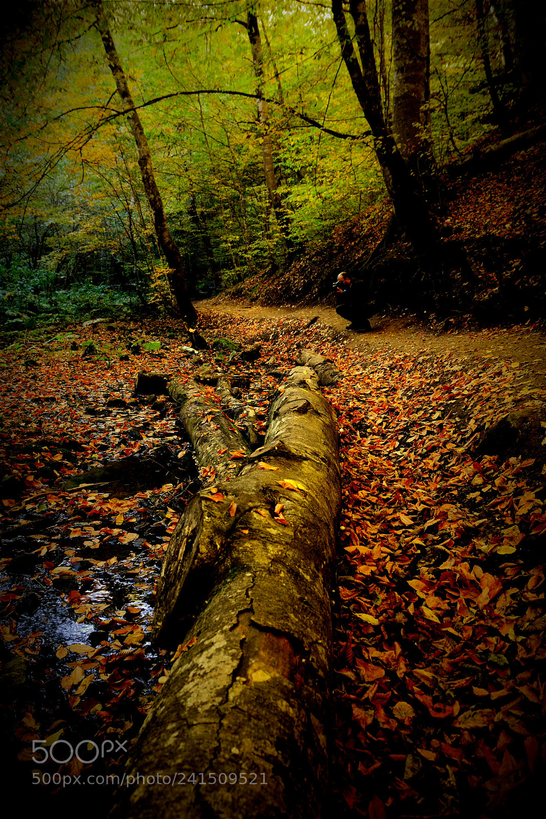 Nikon D7100 sample photo. Untitled photography