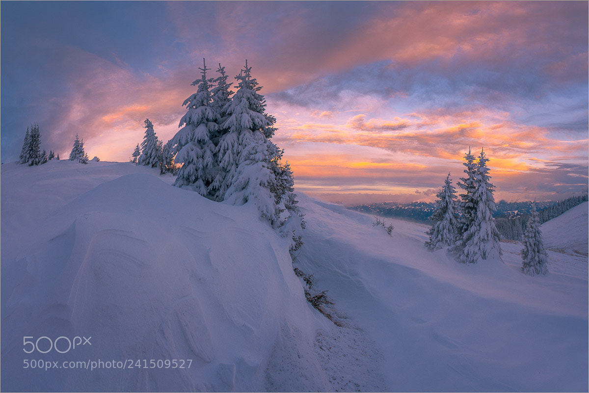 Pentax K-3 sample photo. Steirischer winter photography