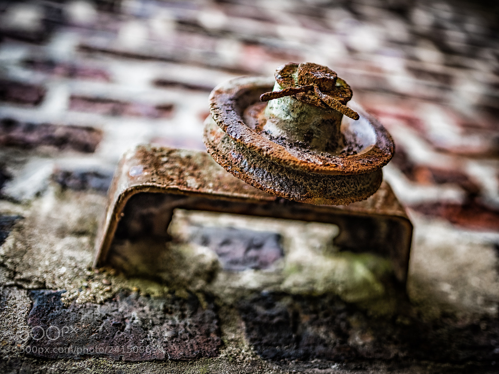Nikon D810 sample photo. Rusty roll photography