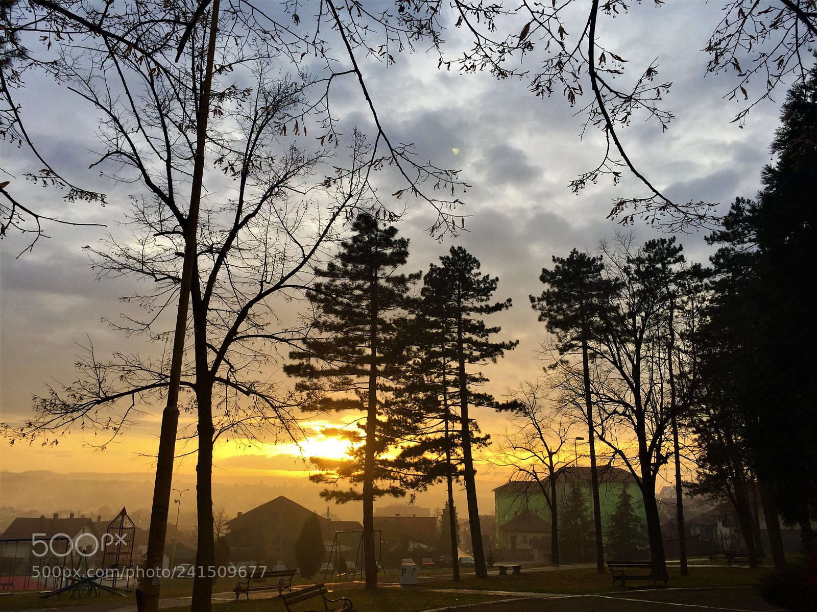 Apple iPhone 6 sample photo. Nature photography