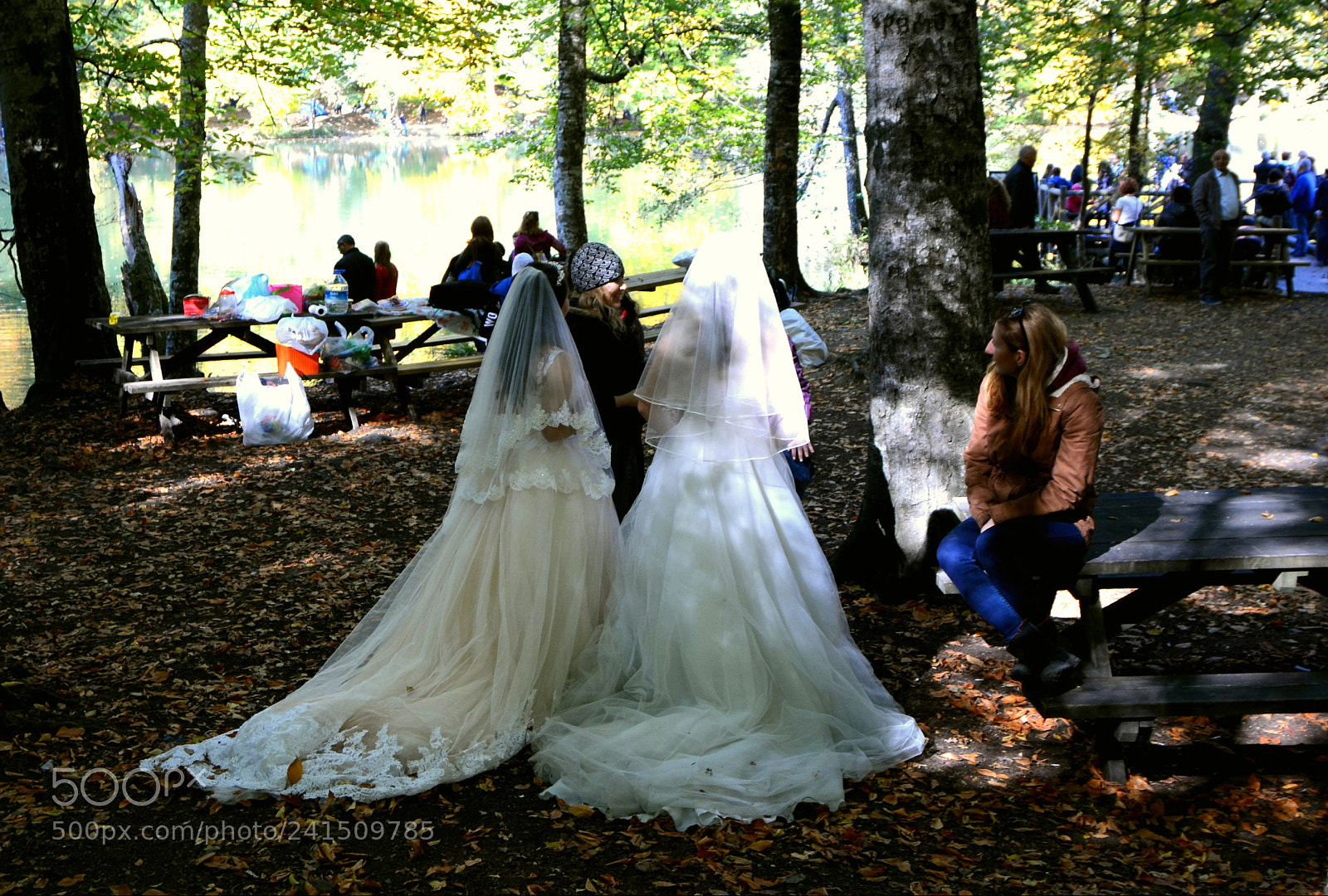 Nikon D7100 sample photo. Untitled photography