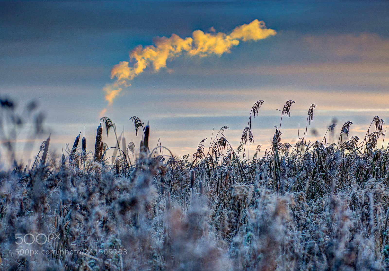 Nikon D7100 sample photo. Sunrise at egå engsø photography