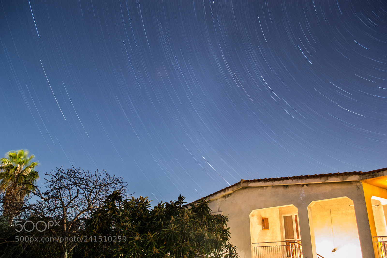 Nikon D3100 sample photo. Beautiful nights of january photography