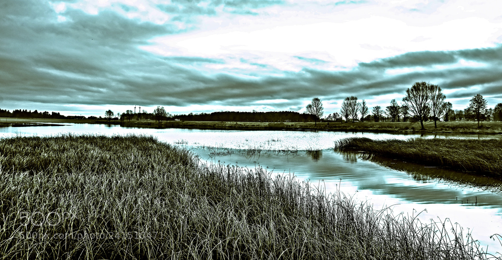 Nikon D7100 sample photo. A cloudy morning photography