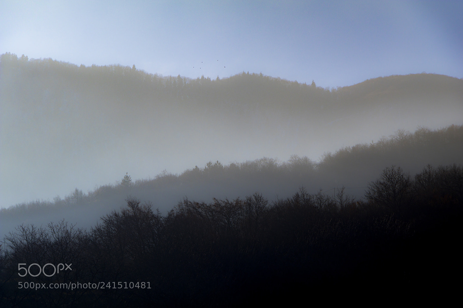 Canon EOS 80D sample photo. Mountain fog photography