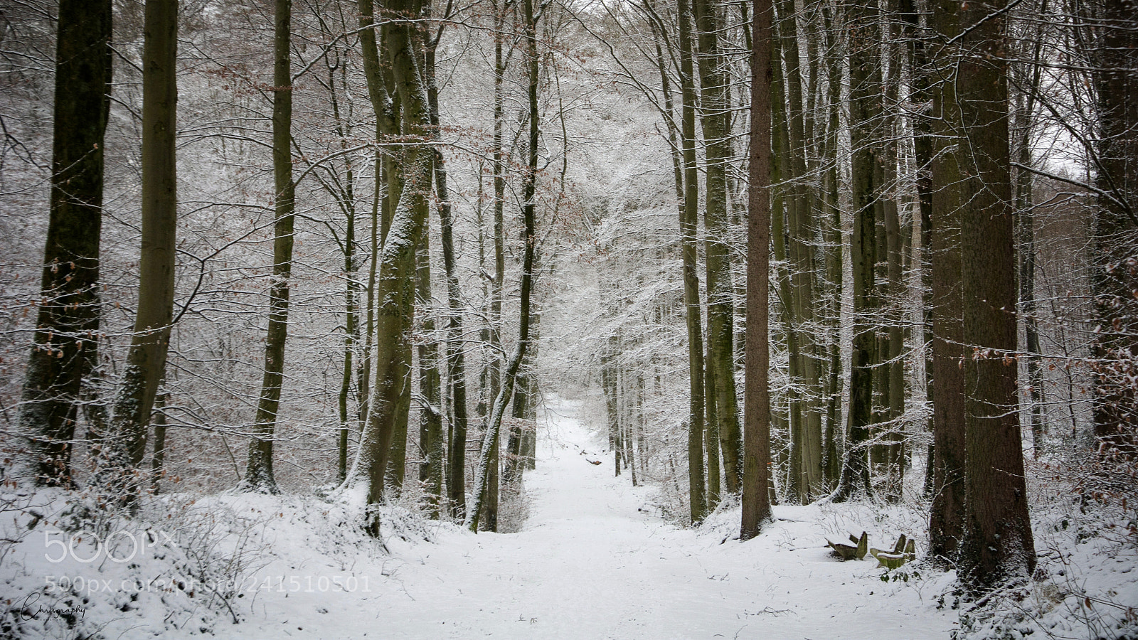 Nikon D7100 sample photo. Winterspaziergang photography