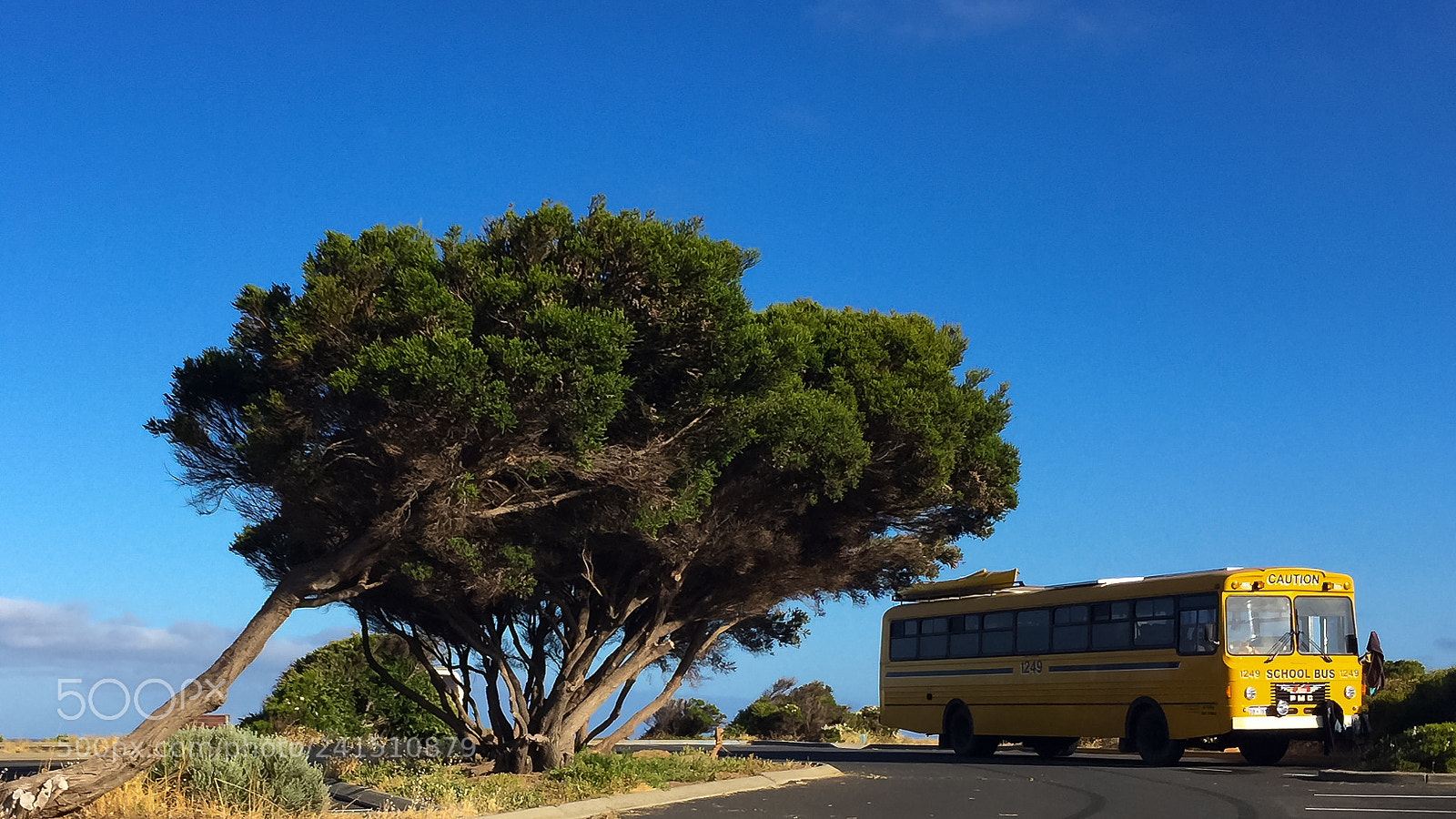 Apple iPhone 6 Plus sample photo. Gnarabup bus photography