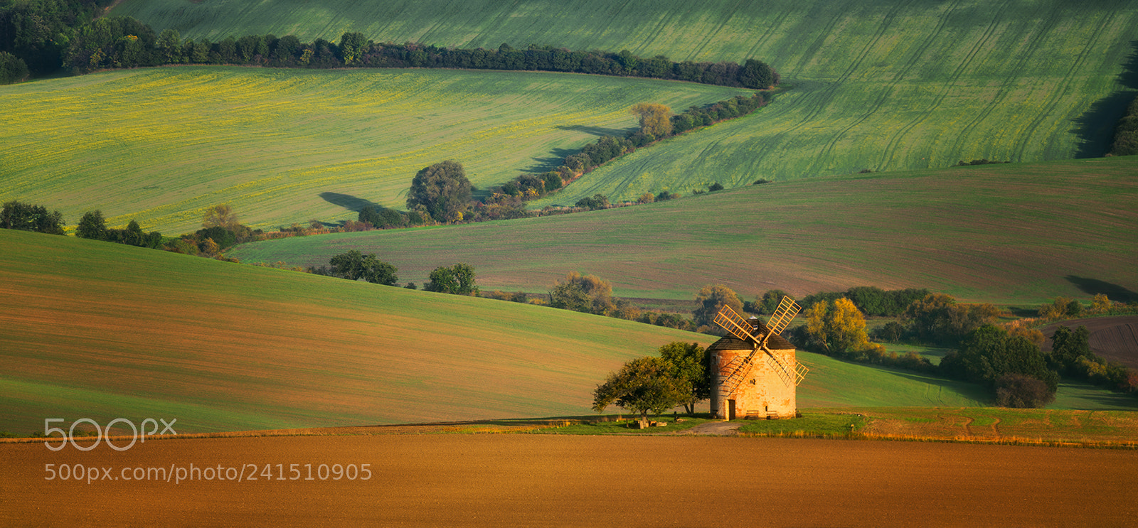 Nikon D810 sample photo. Old windmill photography