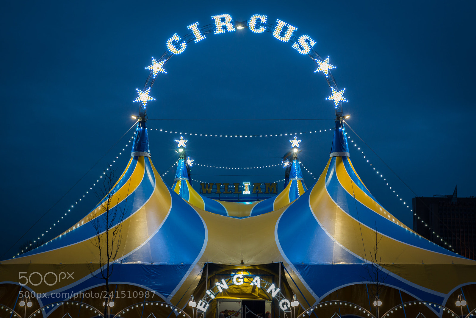 Nikon D800 sample photo. Circus photography