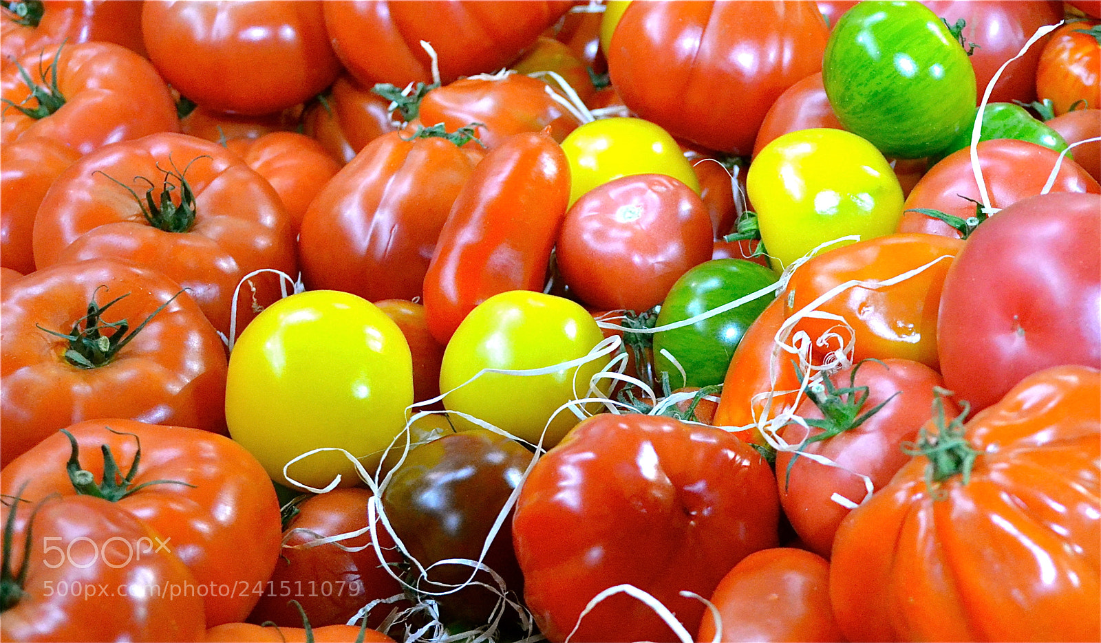 Nikon D3100 sample photo. Heirloom tomatoes at an photography