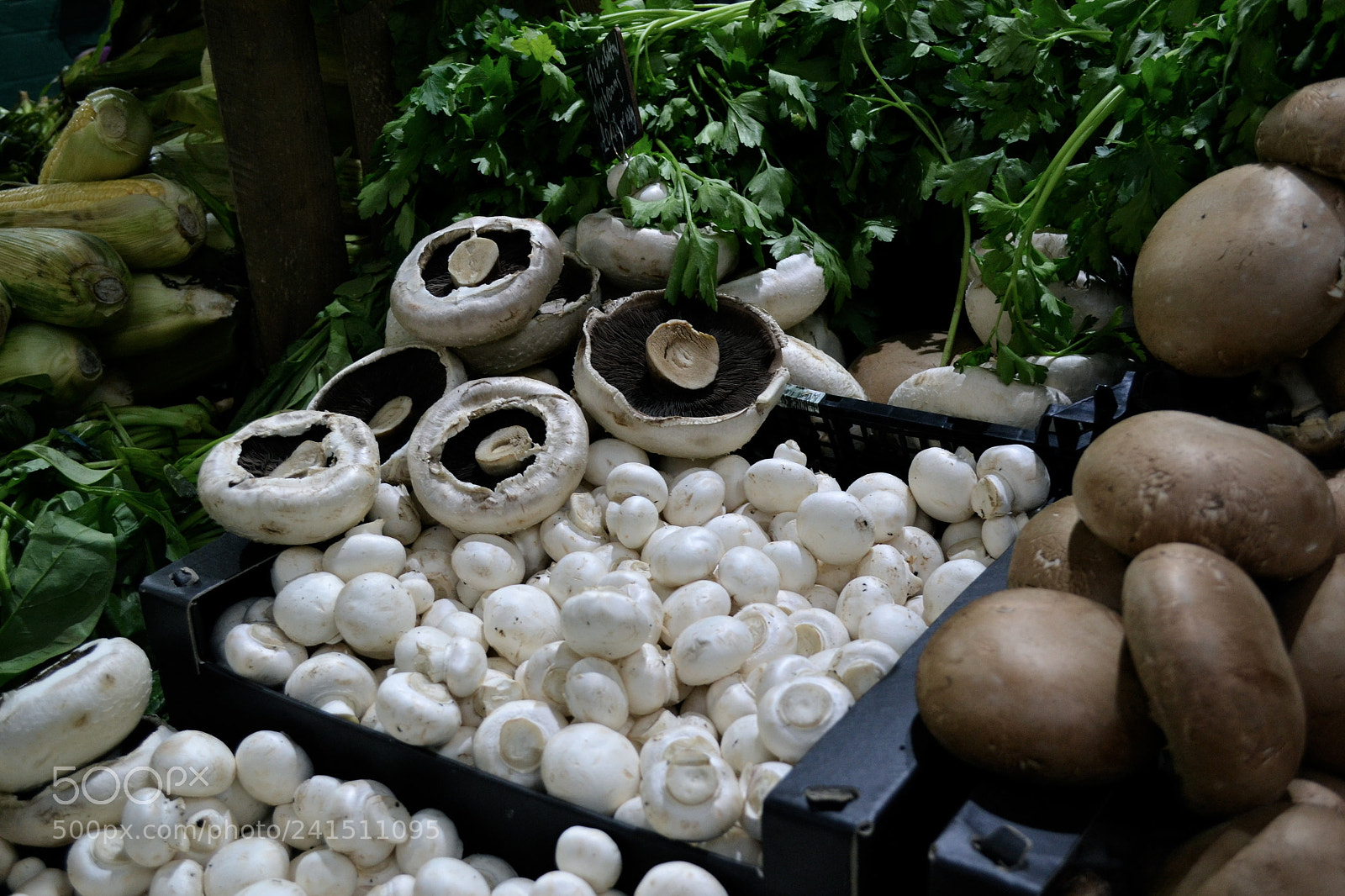 Nikon D3100 sample photo. Crate of mushrooms at photography