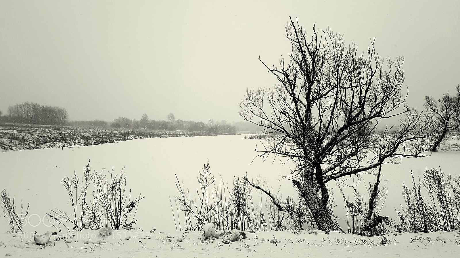 Samsung Galaxy S8 sample photo. Winter photography