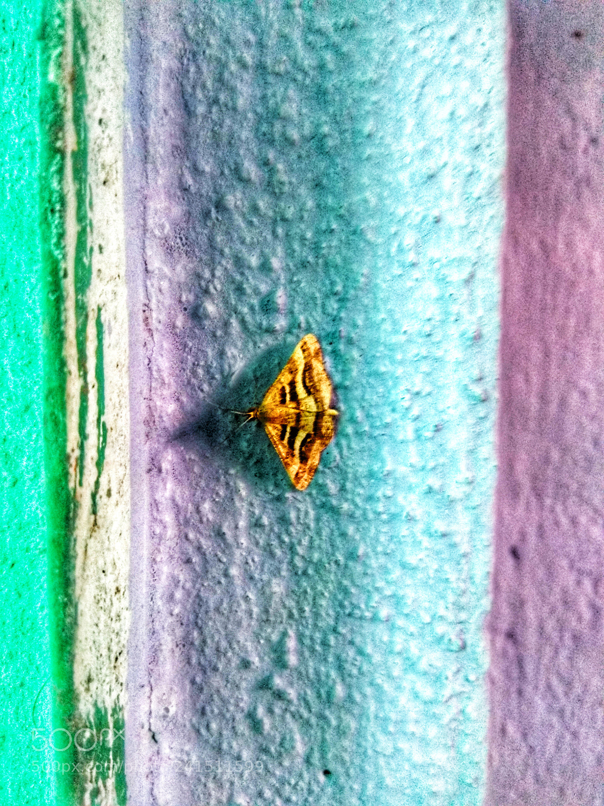 Xiaomi Redmi Note 4 sample photo. Untitled photography
