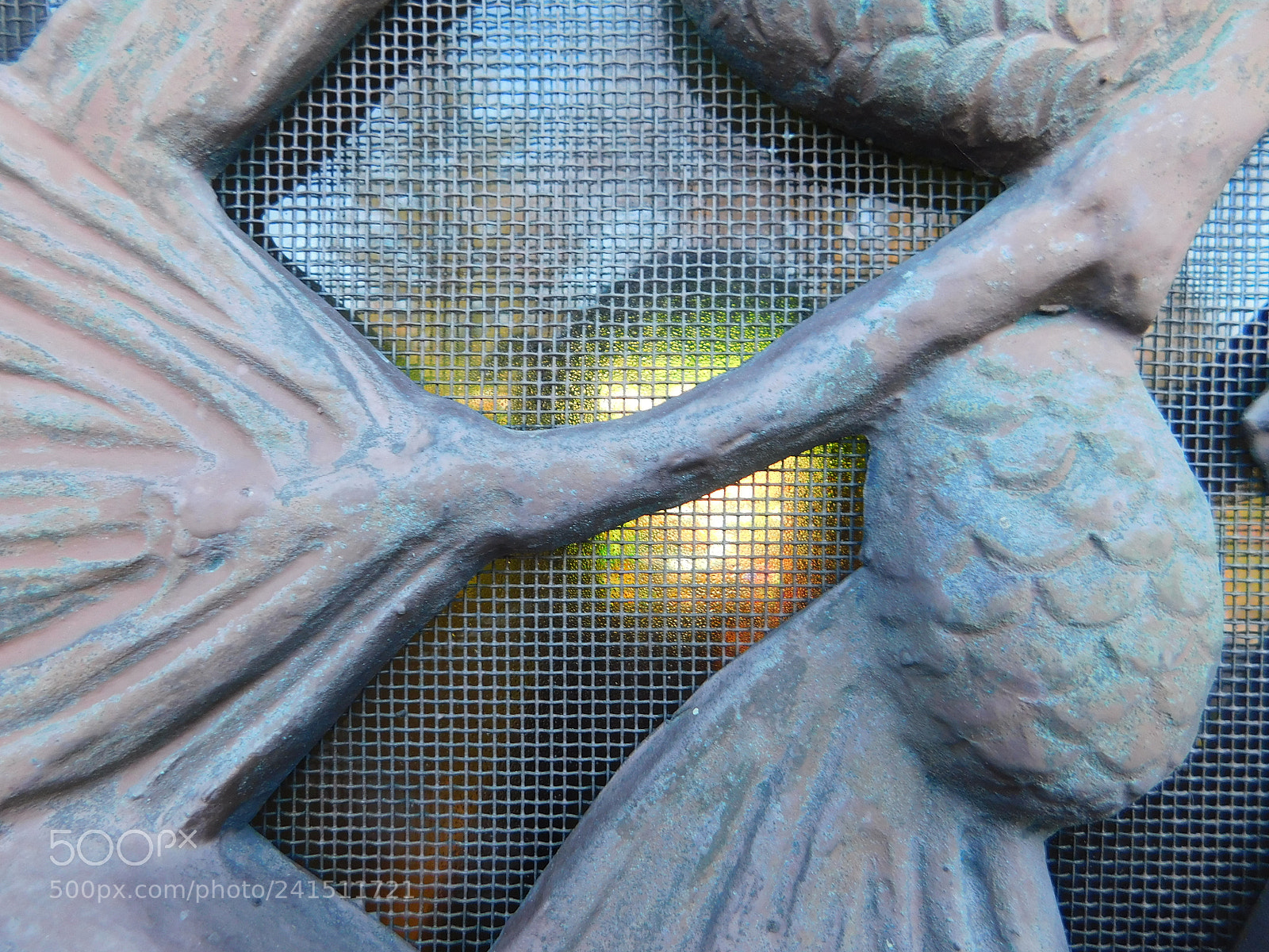 Nikon Coolpix B500 sample photo. Looking closely photography