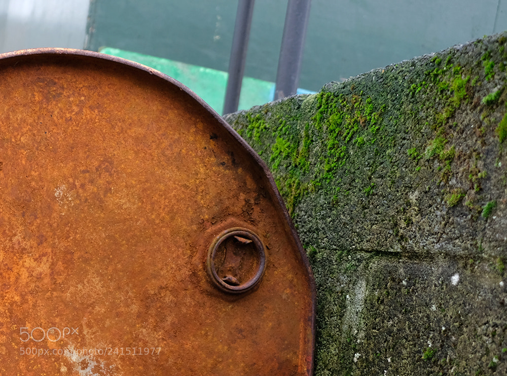 Fujifilm X-T20 sample photo. Rust & moss photography