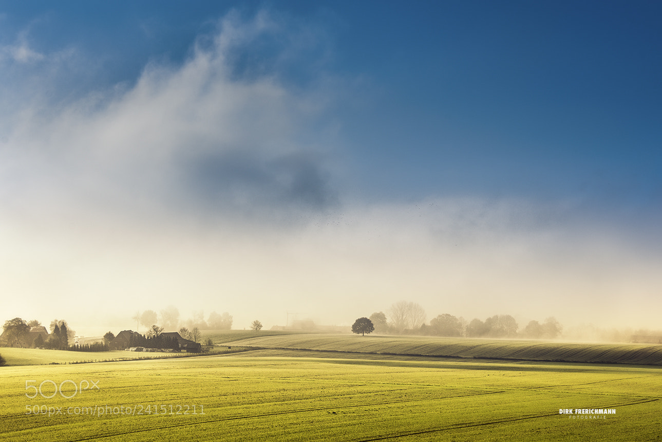 Nikon D810 sample photo. Baumberge autumn morning photography