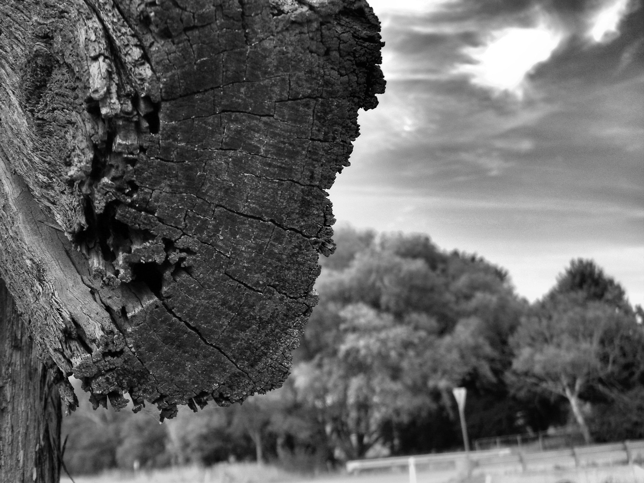 Kodak EASYSHARE Z1015 IS DIGITAL CAMERA sample photo. Dramatic mood photography