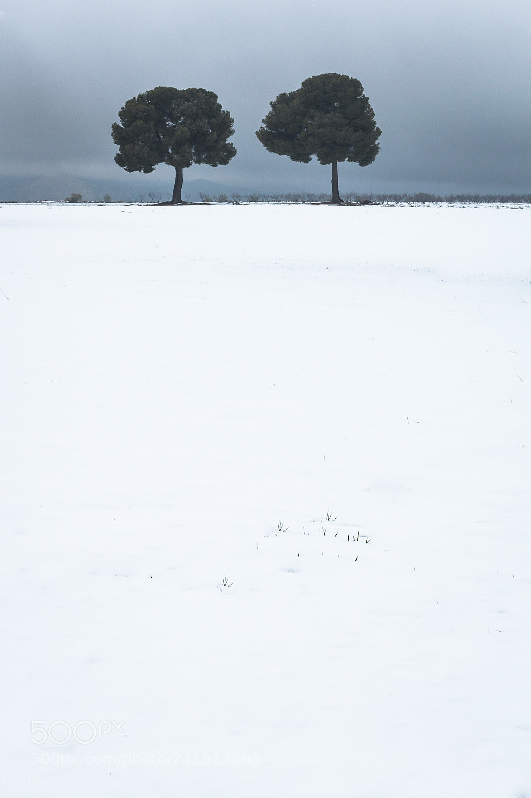 Canon EOS 650D (EOS Rebel T4i / EOS Kiss X6i) sample photo. Nieve photography