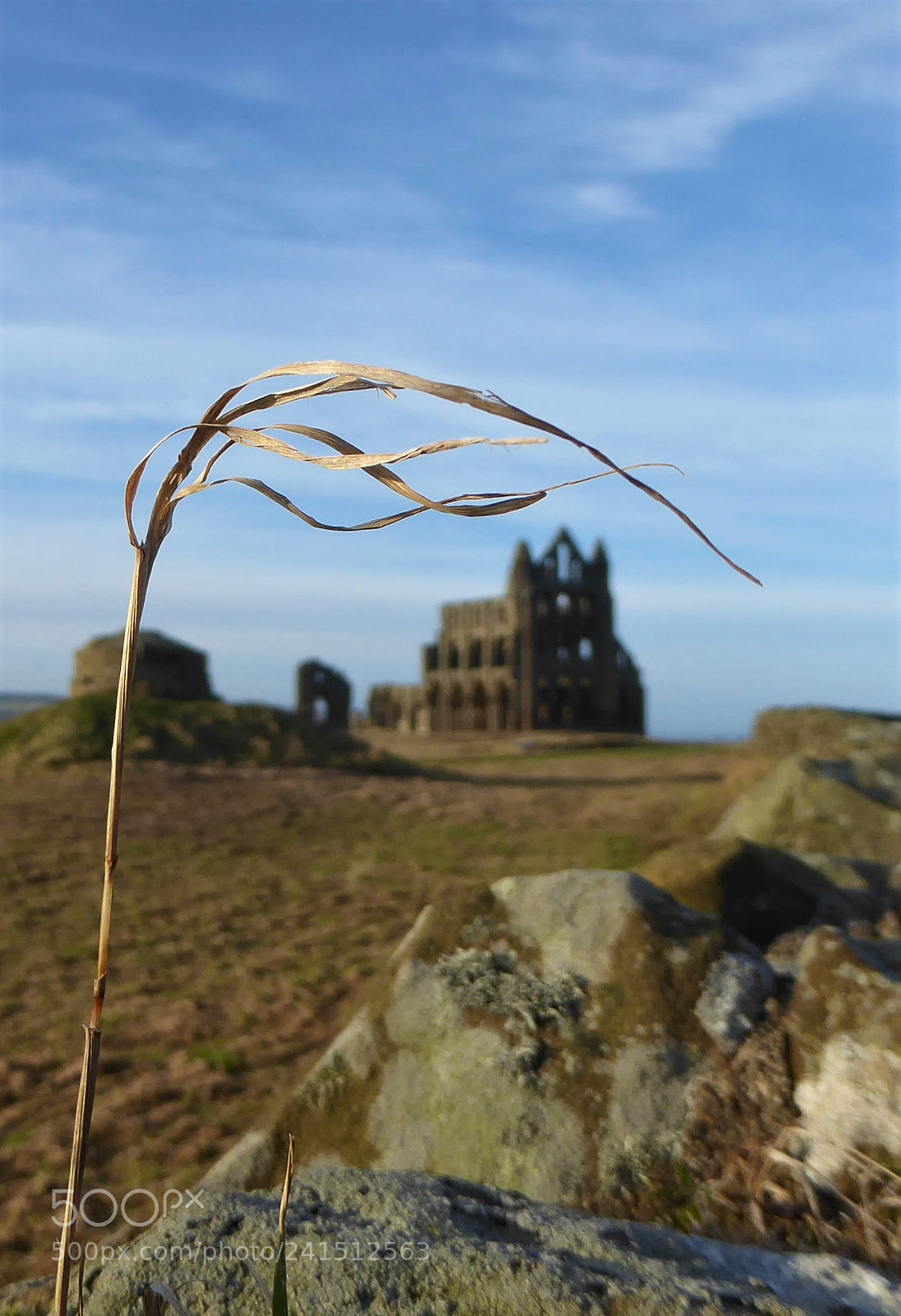 Panasonic Lumix DMC-ZS50 (Lumix DMC-TZ70) sample photo. Whitby abbey photography
