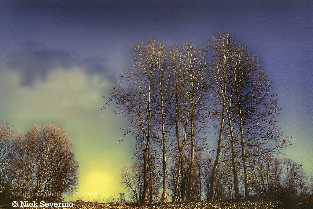 Sony a7R sample photo. Natural effects photography